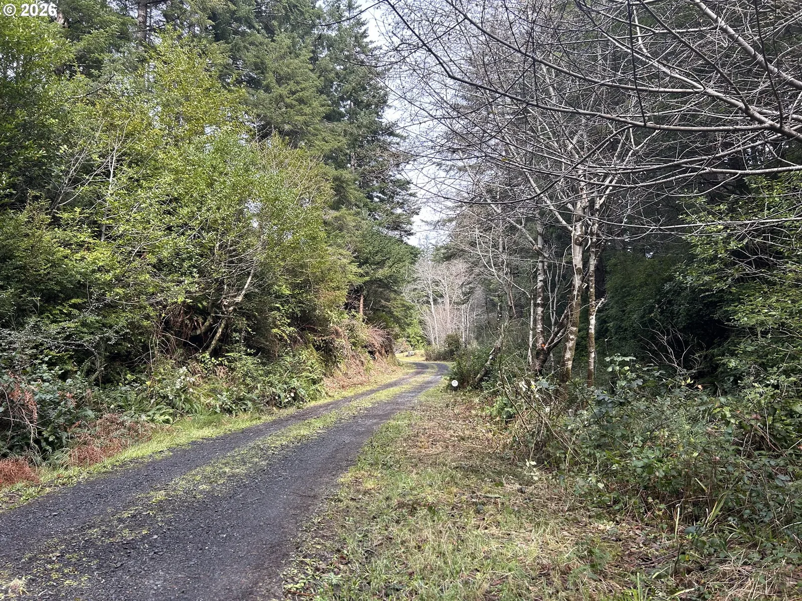 42365 Hensley Hill Rd, Port Orford, OR 97465 — photograph 44