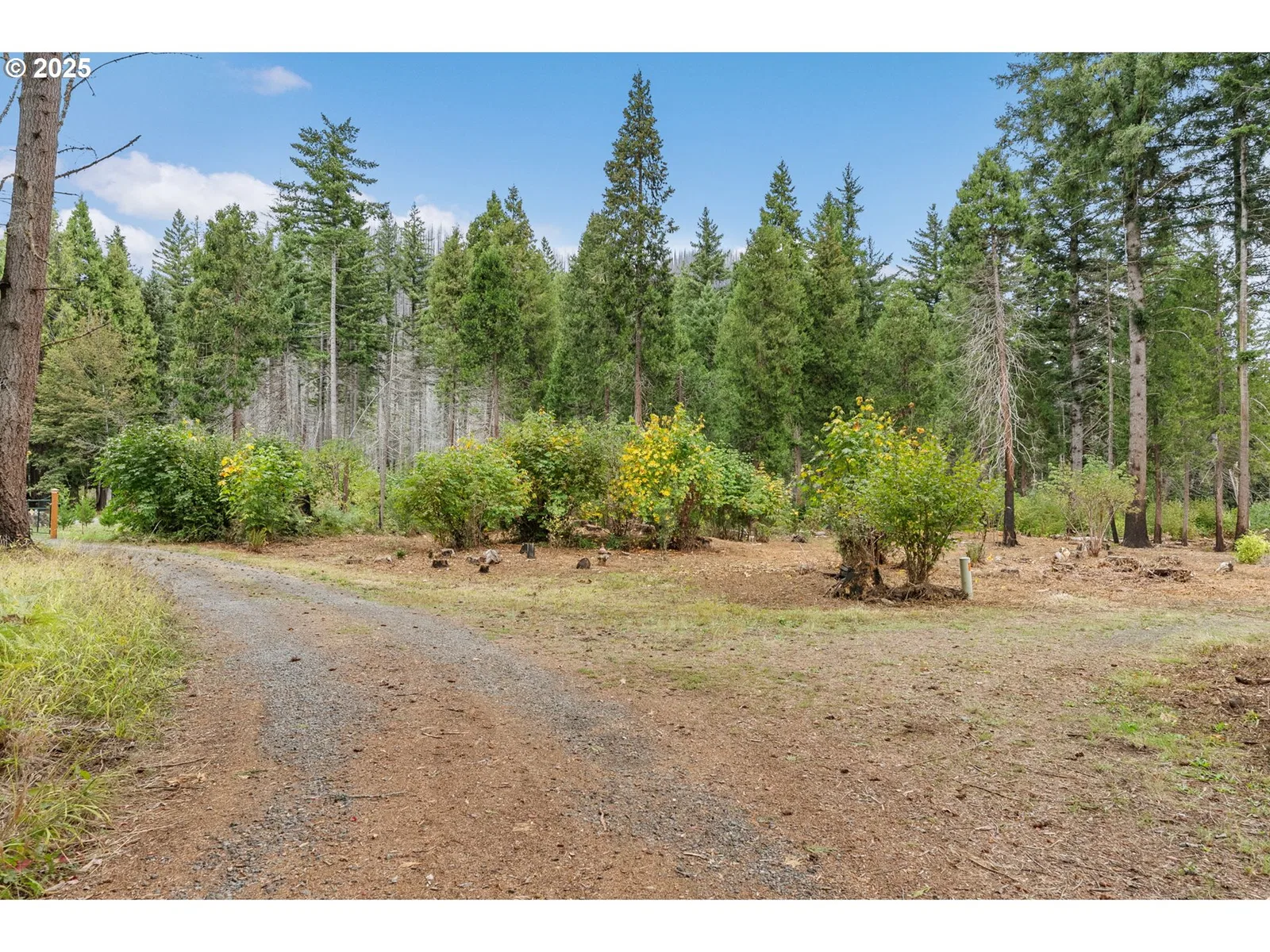 51209 Blue River Dr, Vida, OR 97488 — photograph 12