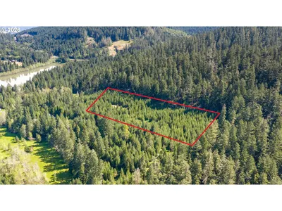 Land at Berry Creek Rd, Winston, OR 97496