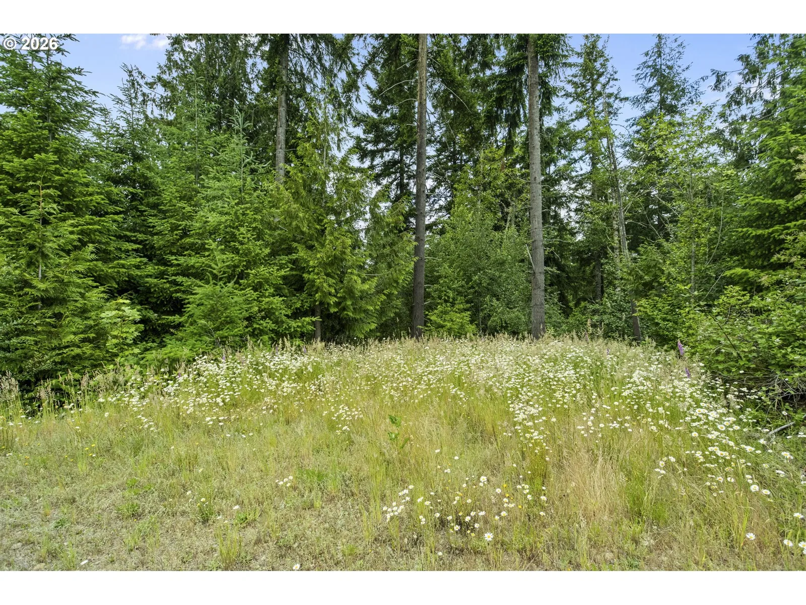 104 Bootjack Ln, Kelso, Wa 98626 — photograph 17