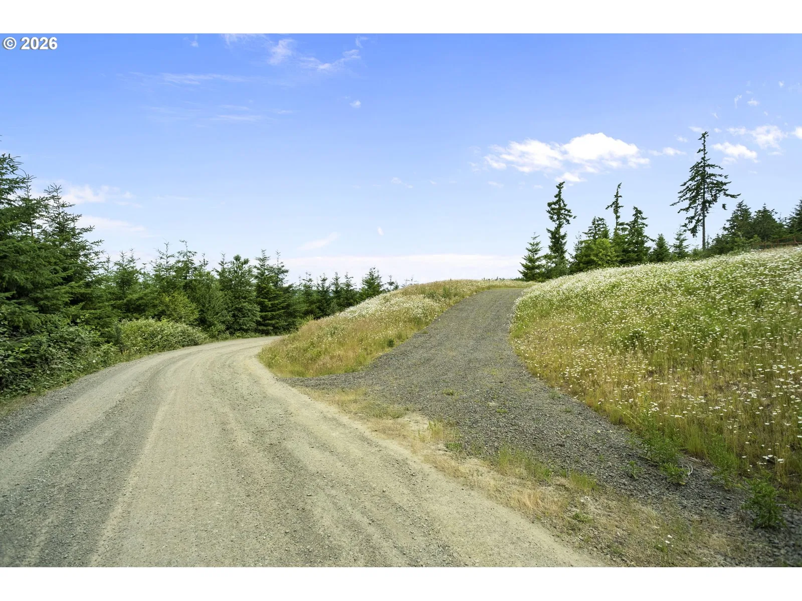 104 Bootjack Ln, Kelso, Wa 98626 — photograph 6