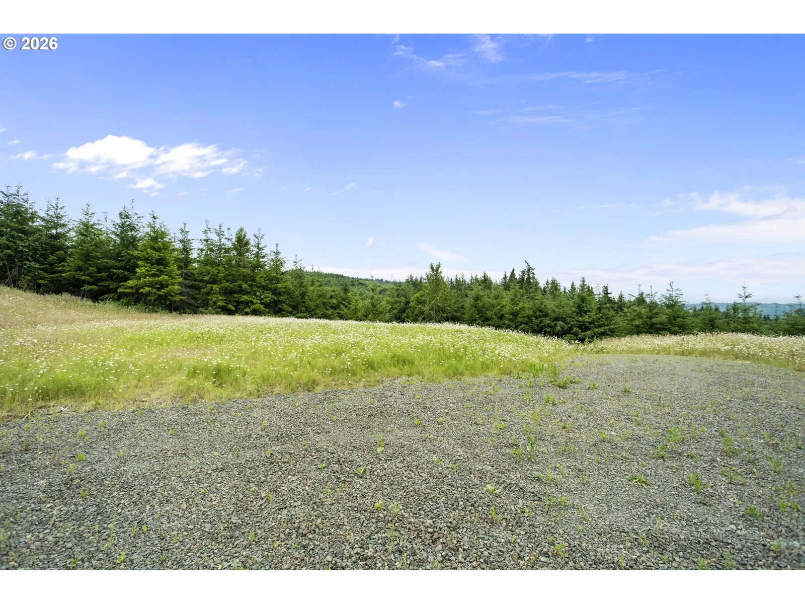 104 Bootjack Ln, Kelso, Wa 98626 — photograph 9