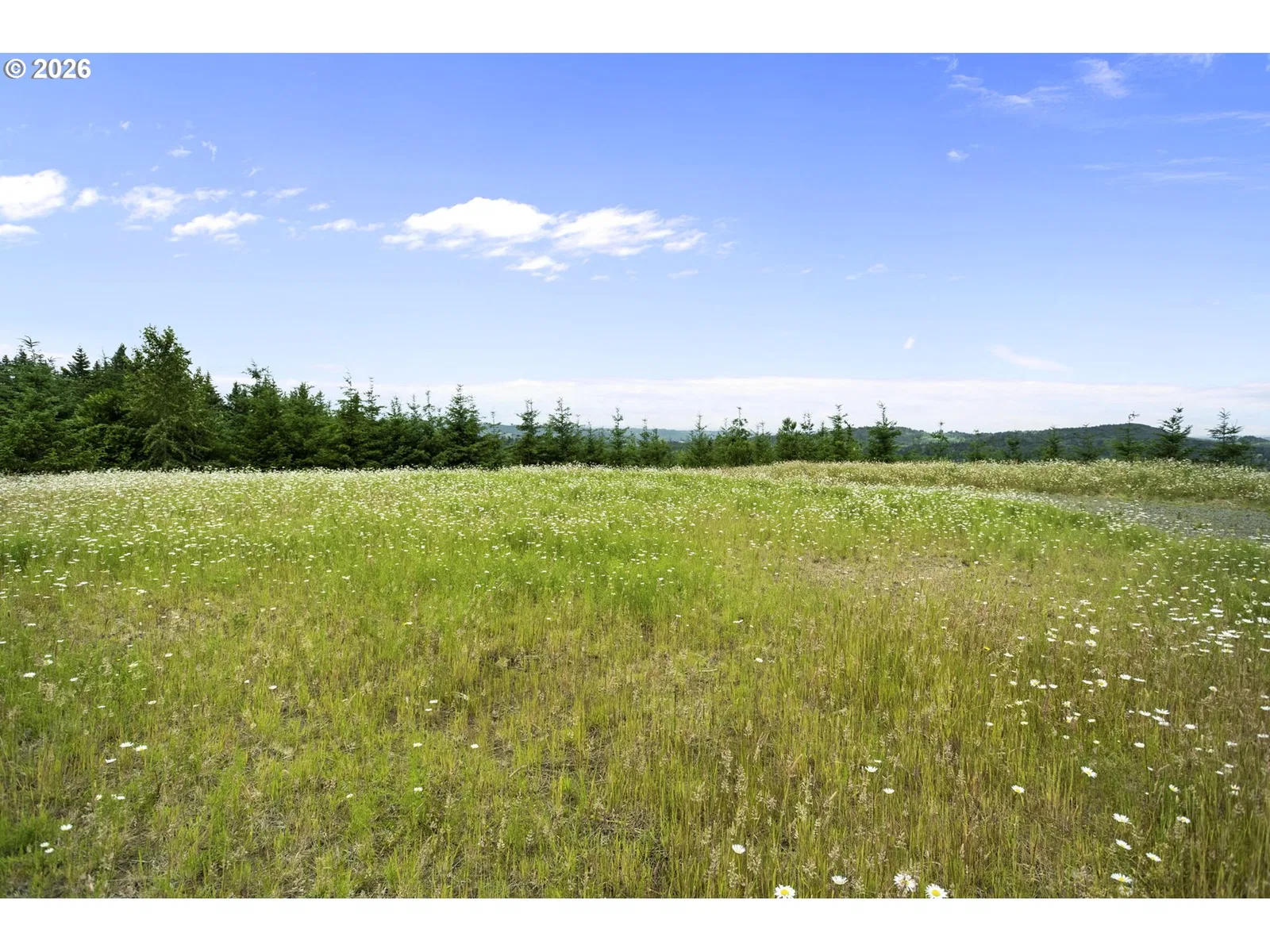 104 Bootjack Ln, Kelso, Wa 98626 — photograph 14