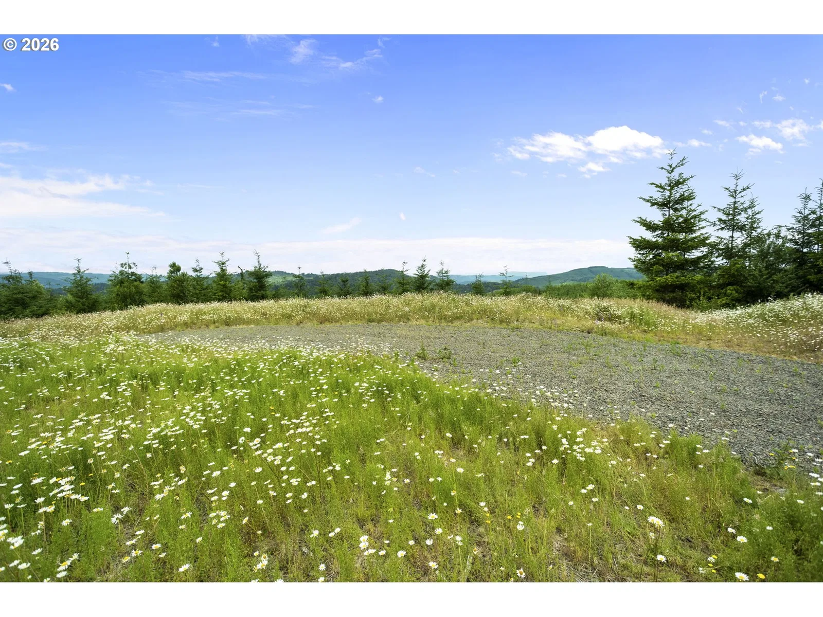 104 Bootjack Ln, Kelso, Wa 98626 — photograph 11