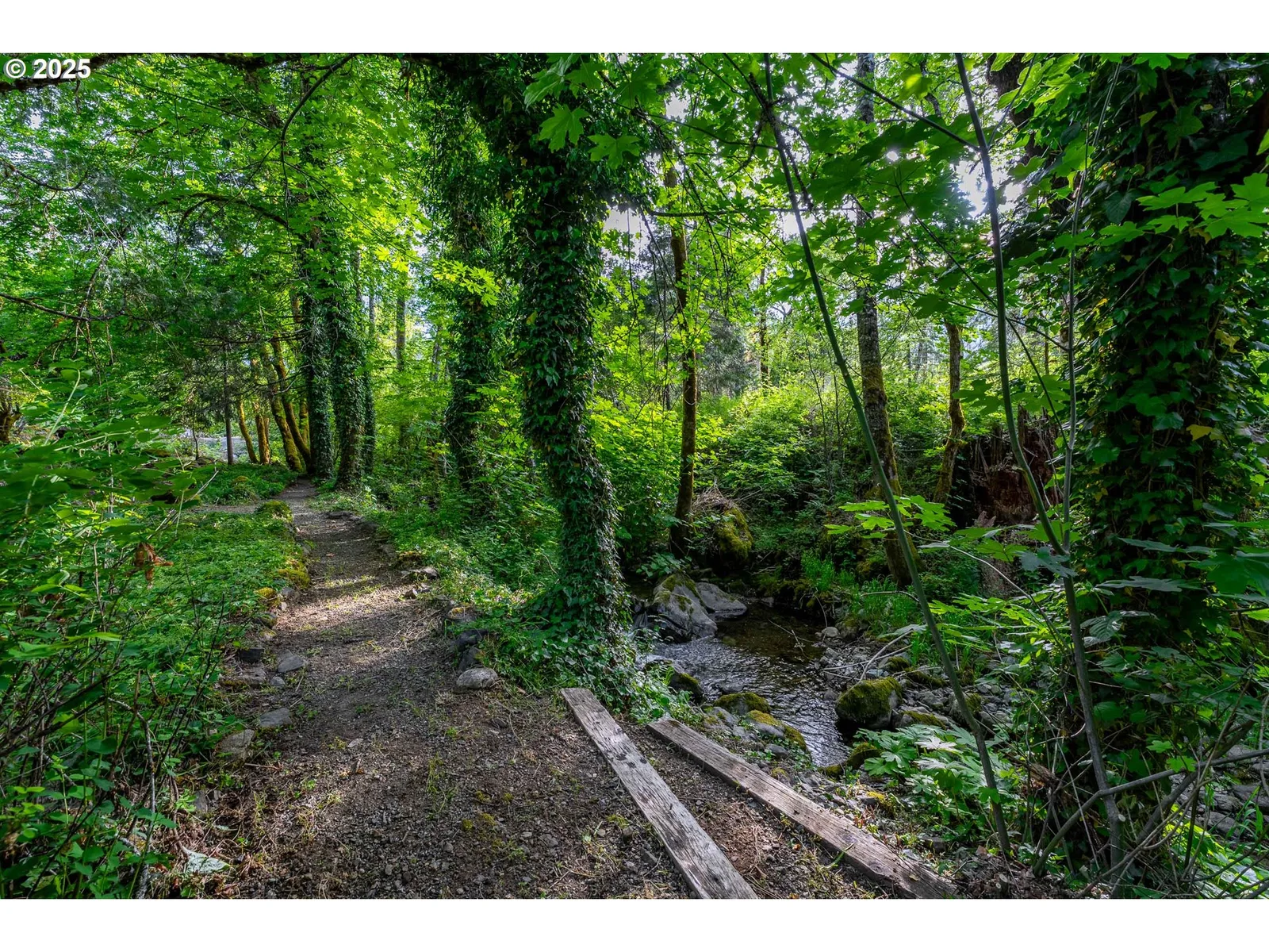 988 Savage Creek Rd, Grants Pass, OR 97527 — photograph 10