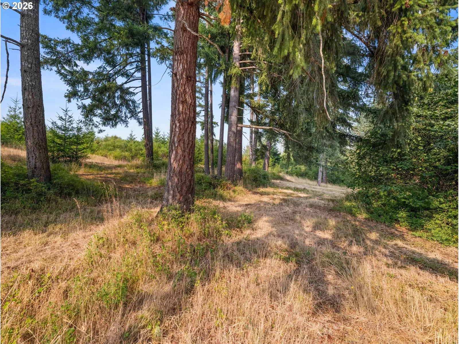 27053 S Shibley Rd, Colton, OR 97017 — photograph 27