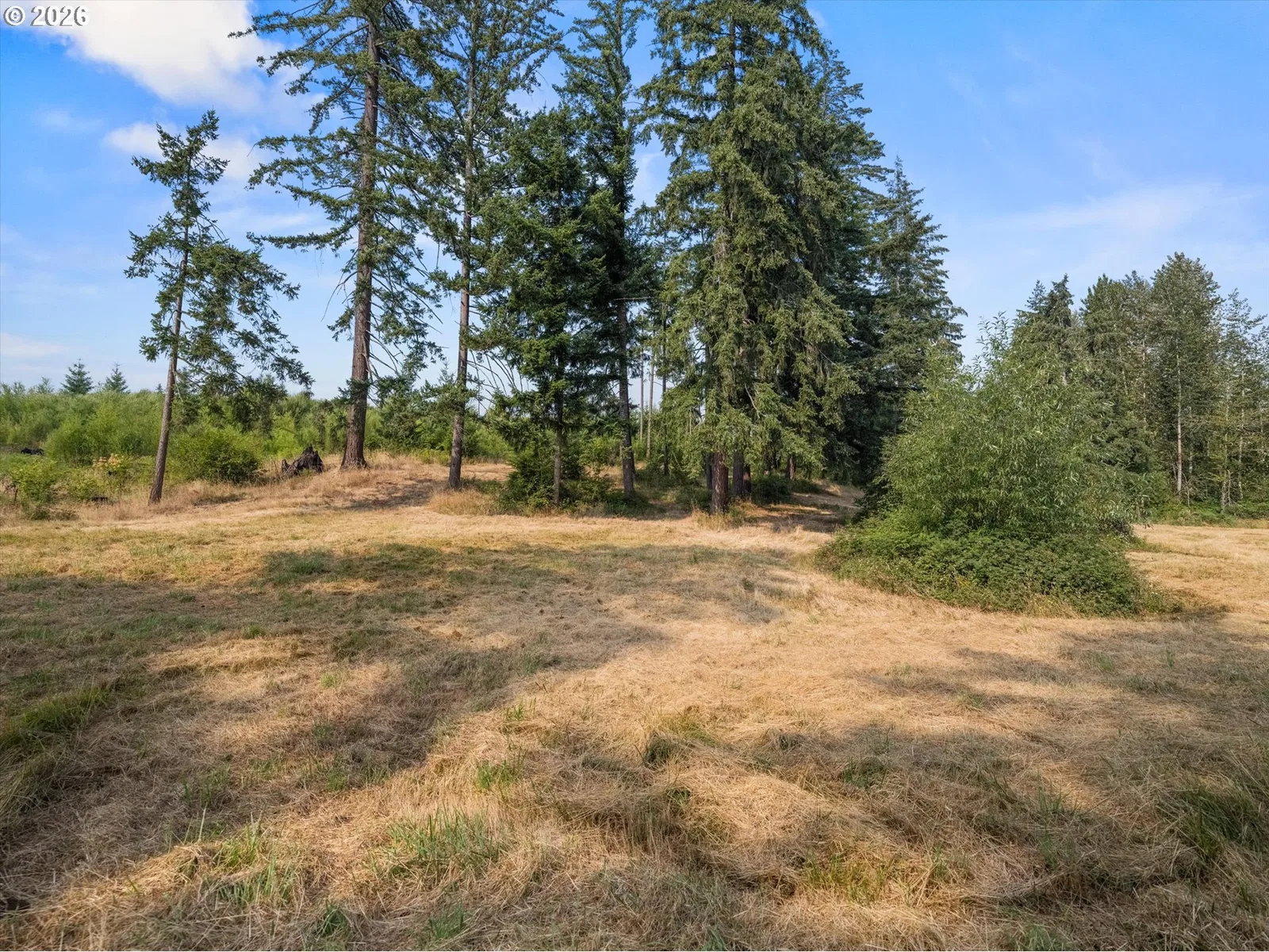 27053 S Shibley Rd, Colton, OR 97017 — photograph 28