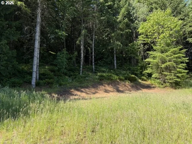 39323 SW Gibson Rd, Gaston, OR 97119 — photograph 6
