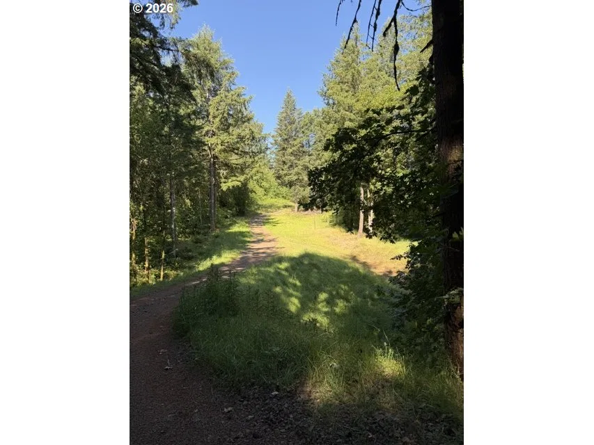 39323 SW Gibson Rd, Gaston, OR 97119 — photograph 9