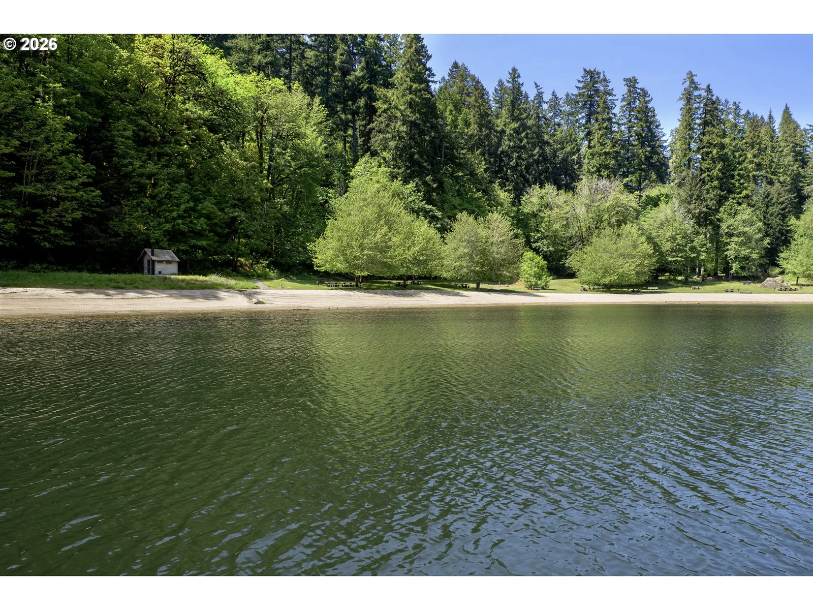 1901 Loon Lake Lot 9 - 10 Rd, Reedsport, OR 97467 — photograph 16