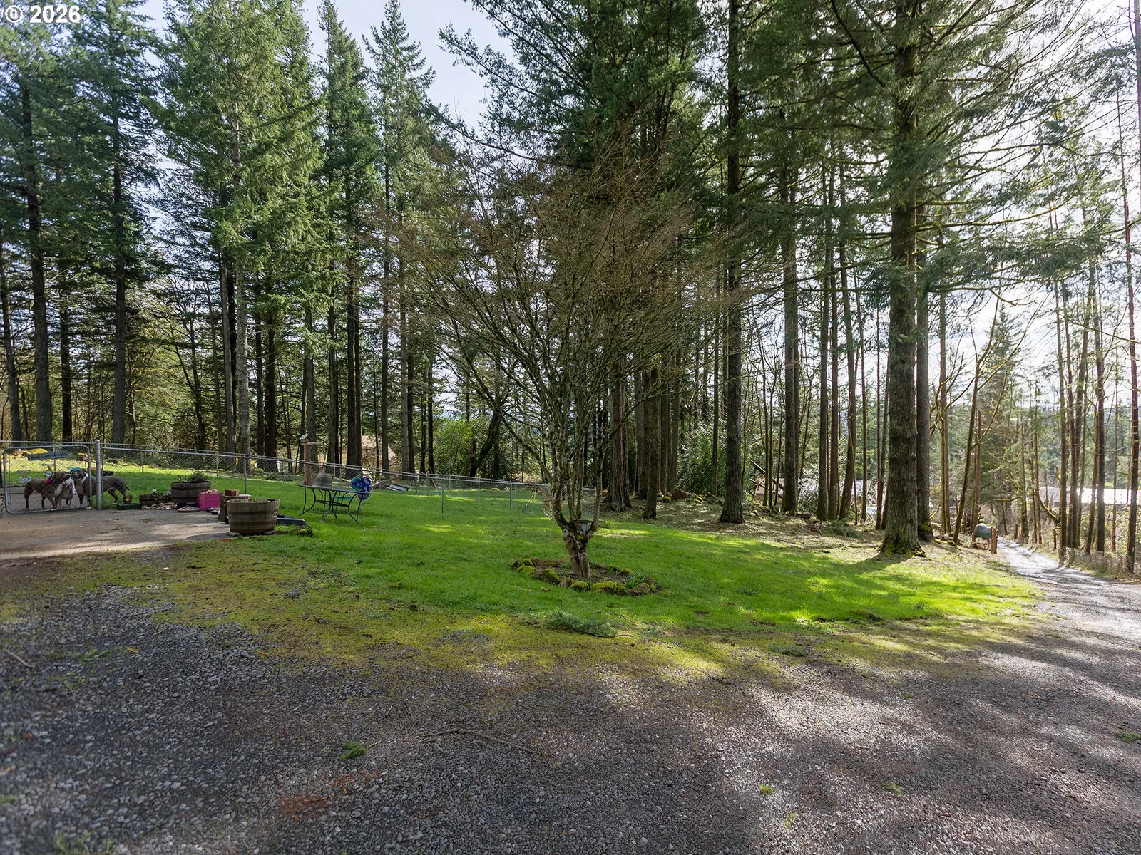 30744 NE 10th St, Washougal, Wa 98671 — photograph 29