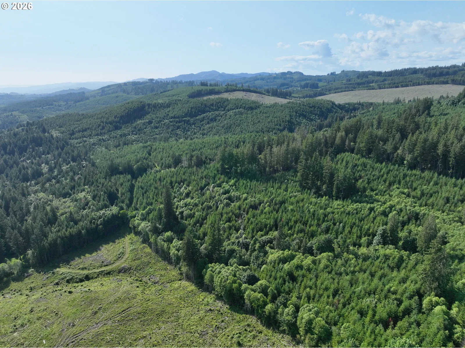 0 NE 206th Ave, Amboy, Wa 98601 — photograph 10