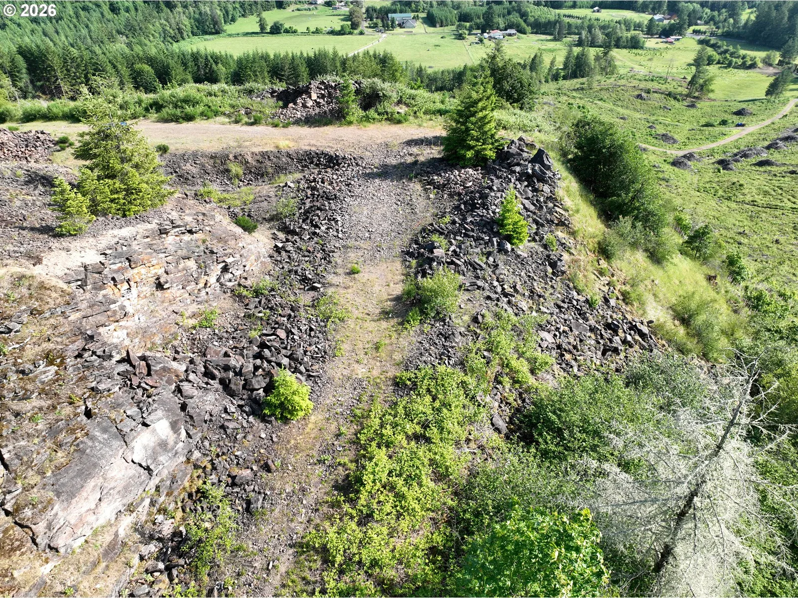 0 NE 206th Ave, Amboy, Wa 98601 — photograph 18