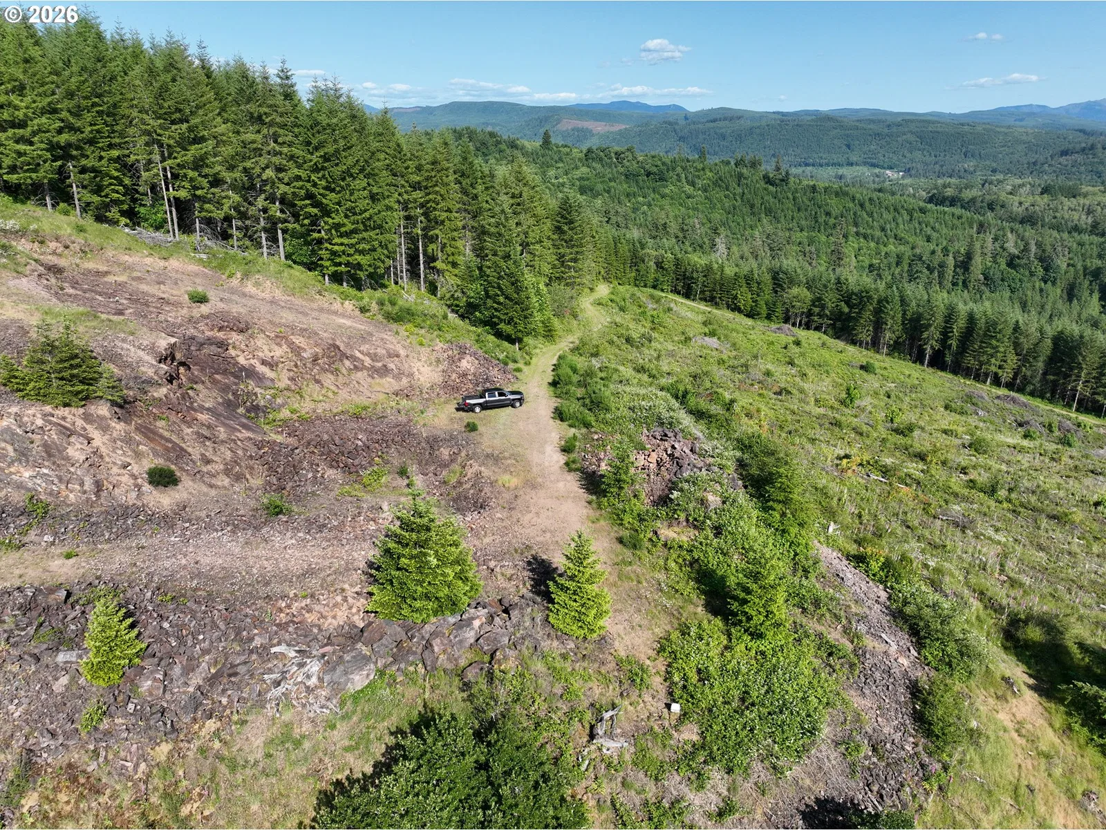 0 NE 206th Ave, Amboy, Wa 98601 — photograph 19