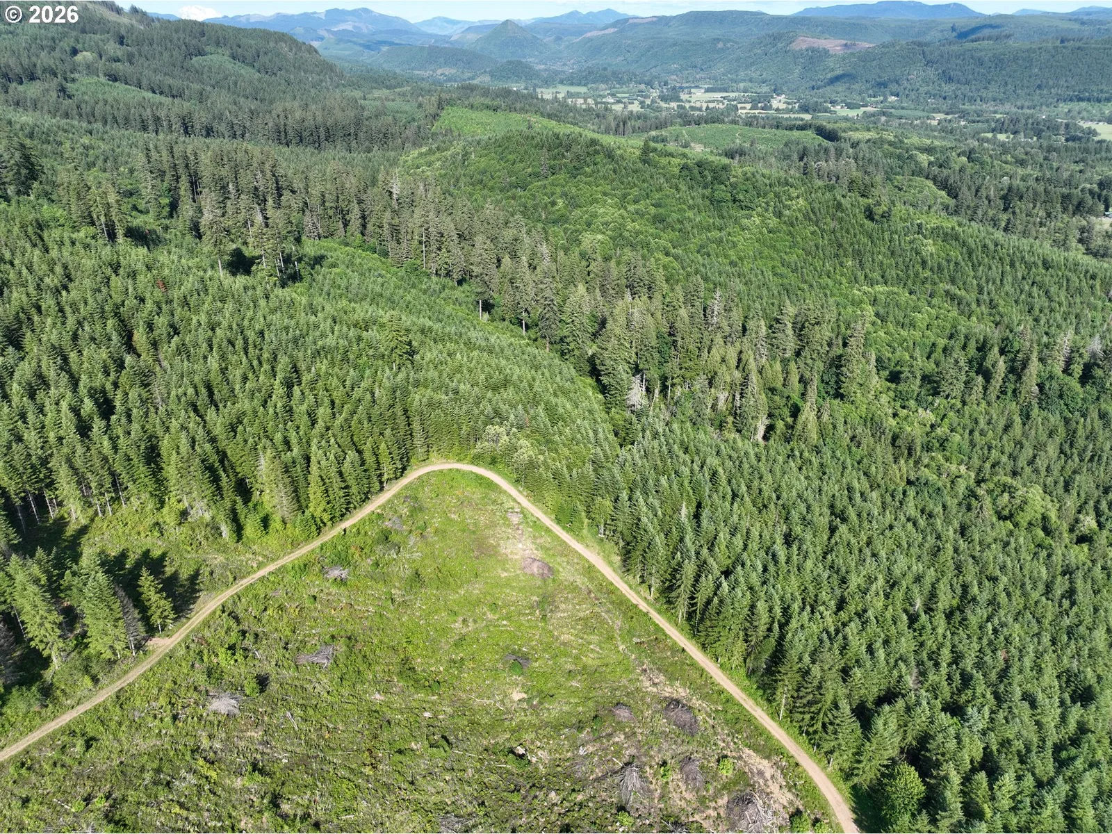 0 NE 206th Ave, Amboy, Wa 98601 — photograph 24