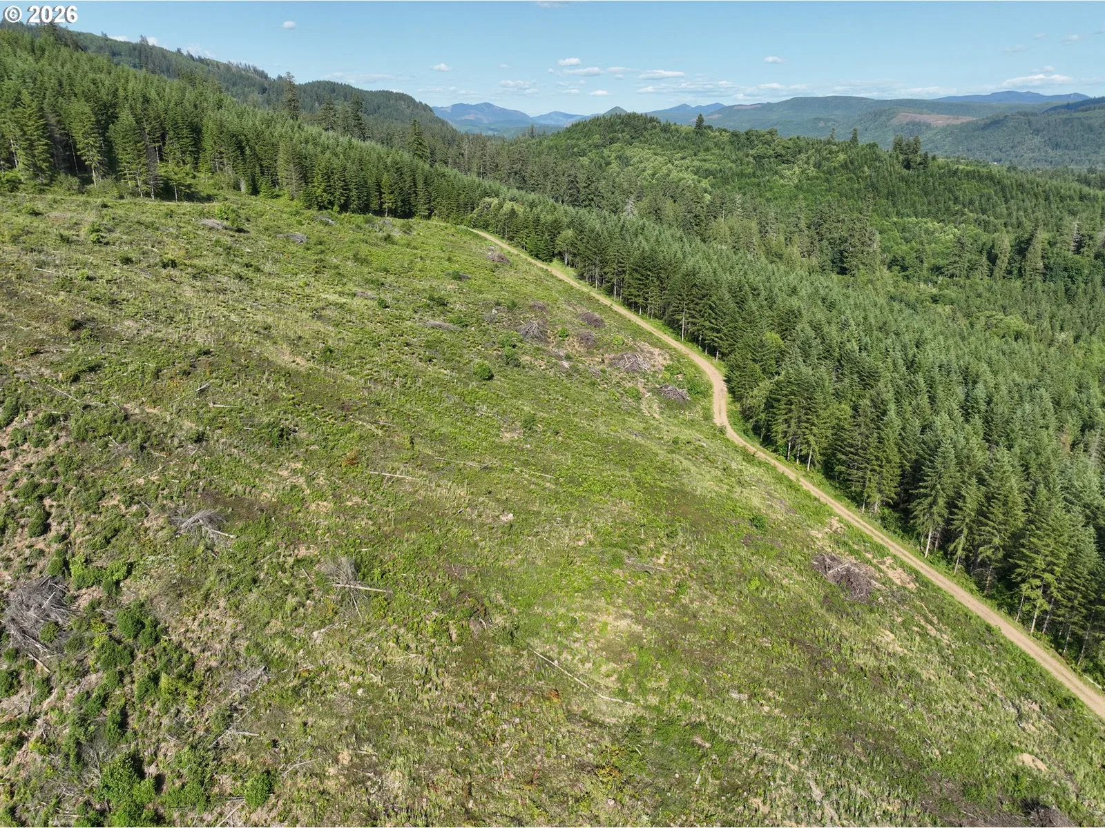 0 NE 206th Ave, Amboy, Wa 98601 — photograph 28