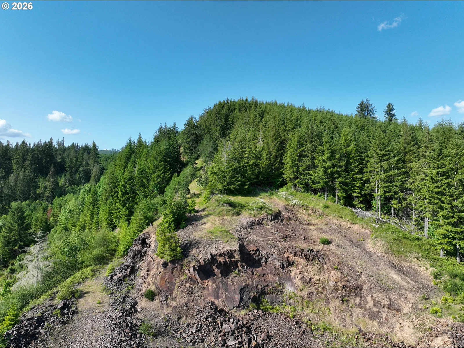 0 NE 206th Ave, Amboy, Wa 98601 — photograph 34