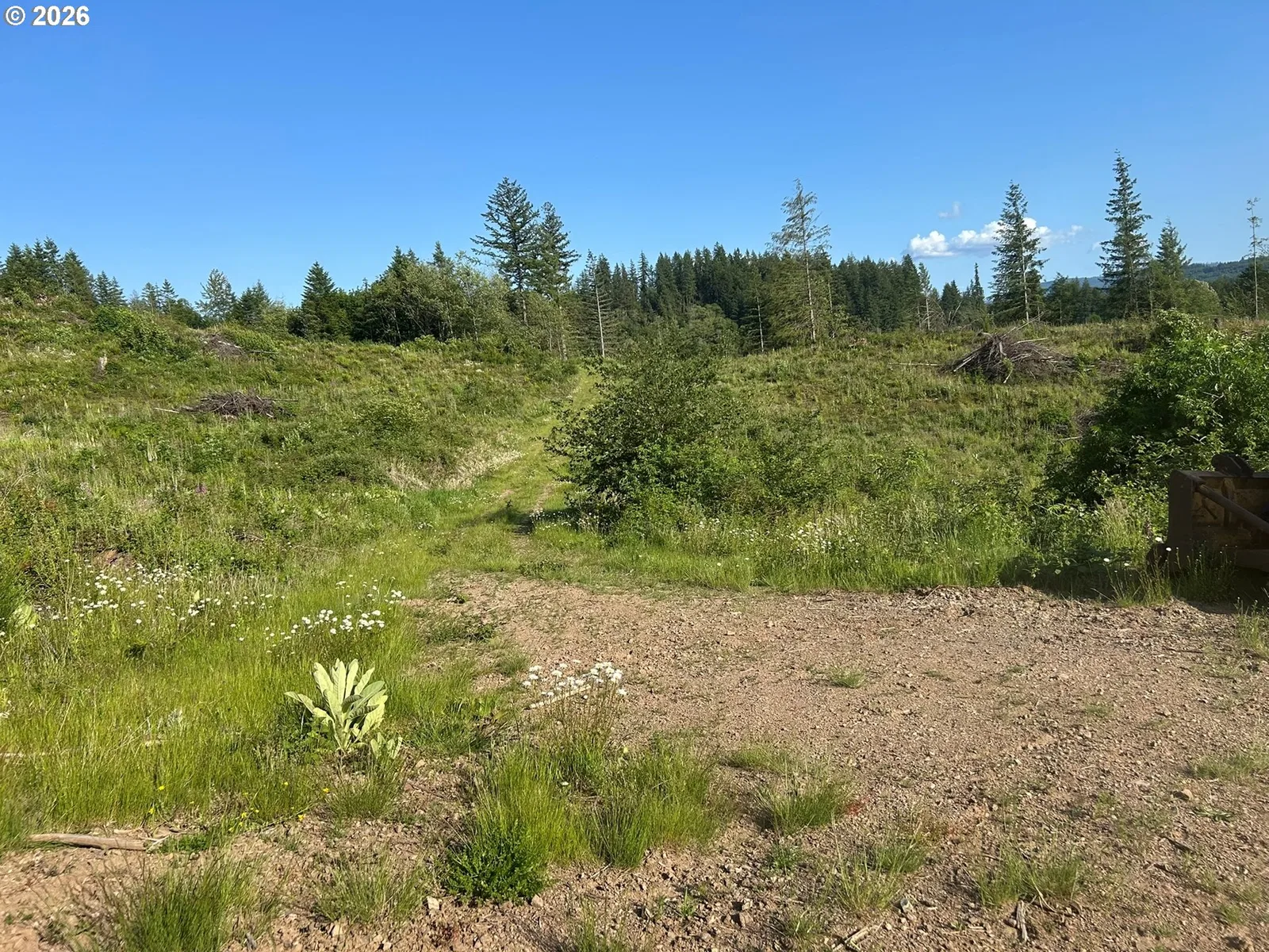 0 NE 206th Ave, Amboy, Wa 98601 — photograph 44