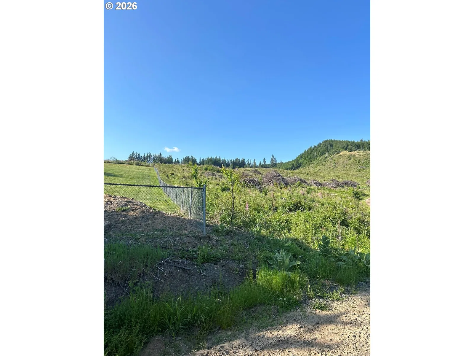 0 NE 206th Ave, Amboy, Wa 98601 — photograph 47