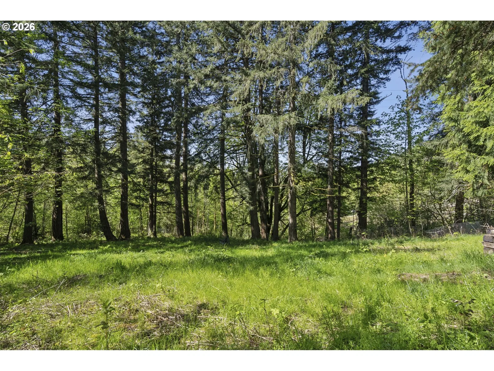 38041 SE Rickert Rd, Corbett, OR 97019 — photograph 37