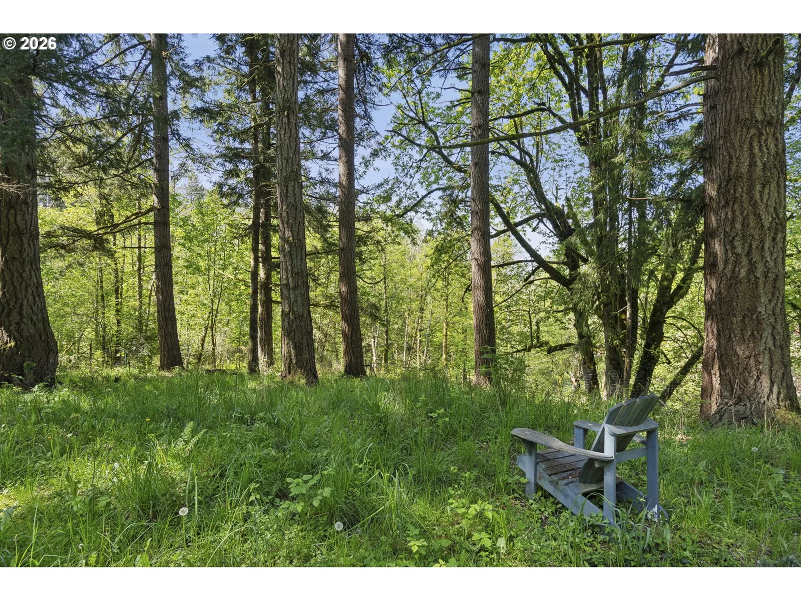 38041 SE Rickert Rd, Corbett, OR 97019 — photograph 38