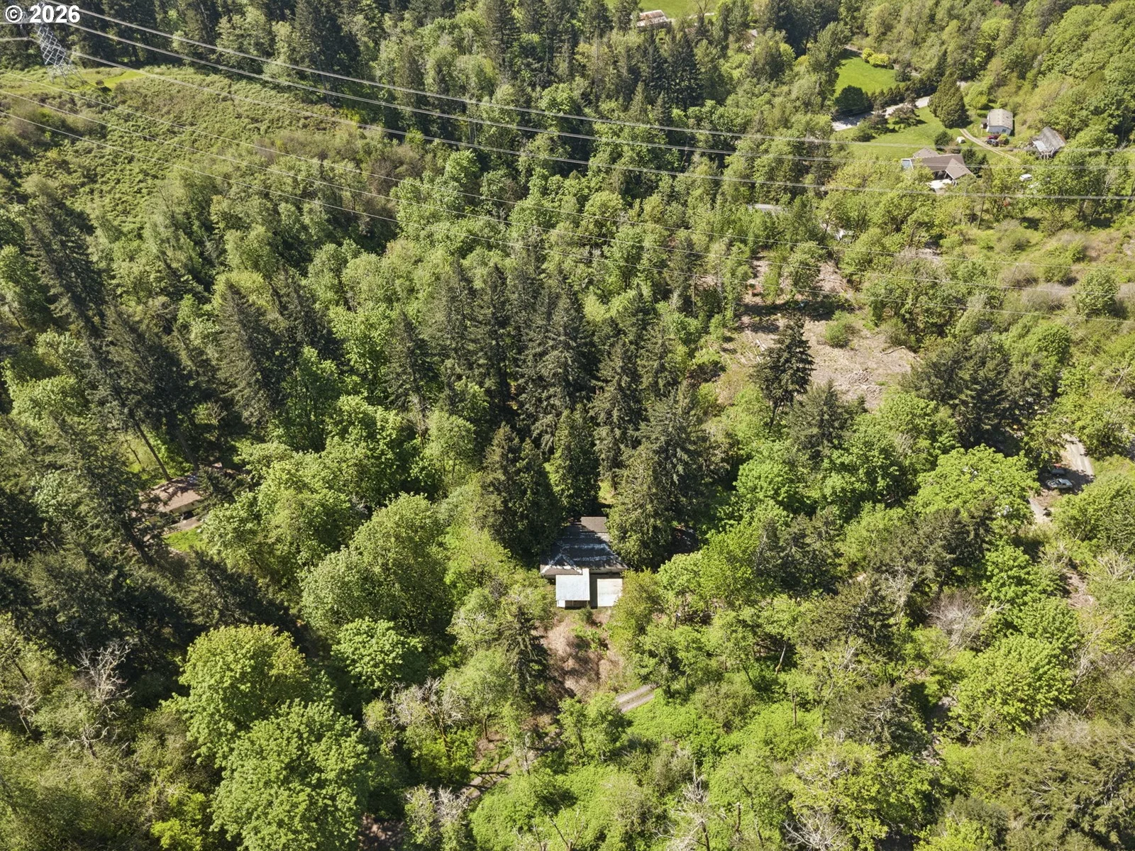 38041 SE Rickert Rd, Corbett, OR 97019 — photograph 43