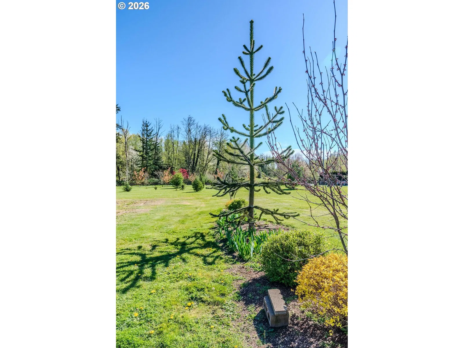 32728 NE Chamberlain Rd, Corbett, OR 97019 — photograph 40