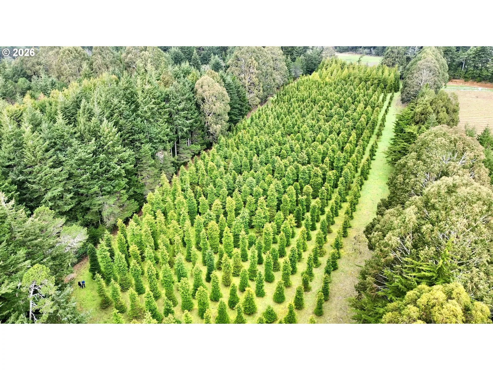 86764 Sydnam Ln, Bandon, OR 97411 — photograph 42