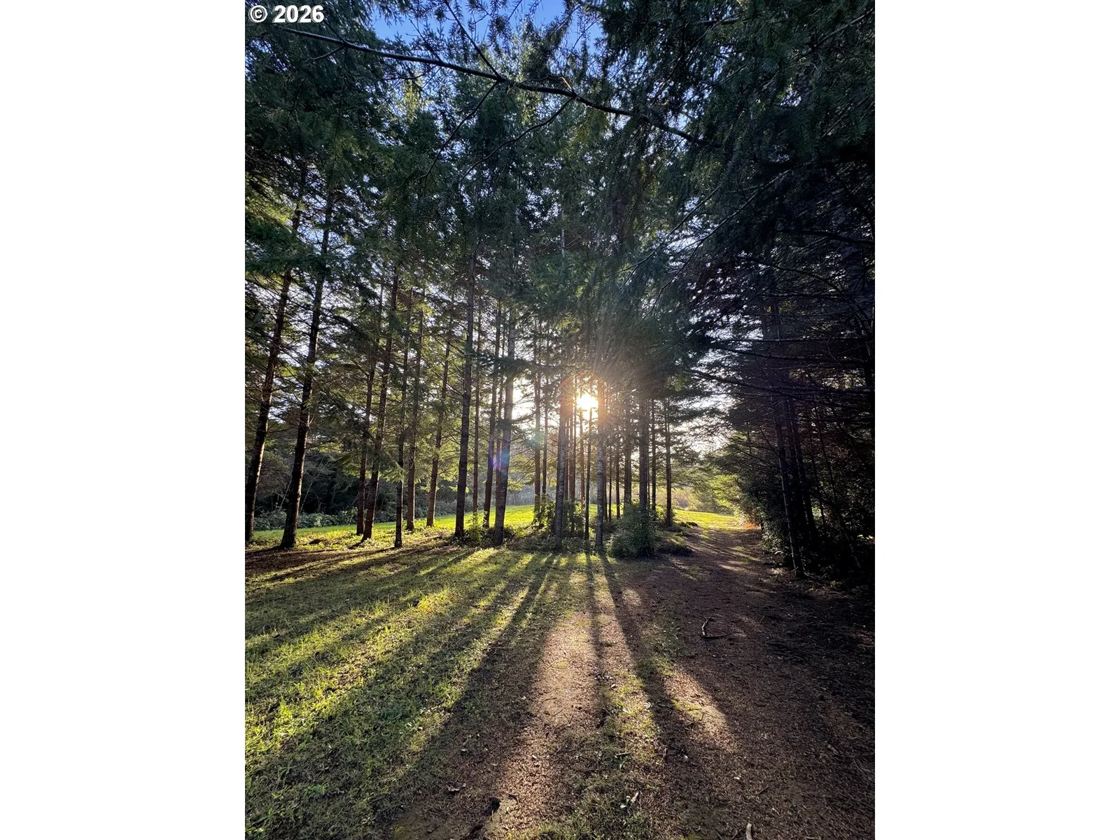 86764 Sydnam Ln, Bandon, OR 97411 — photograph 46