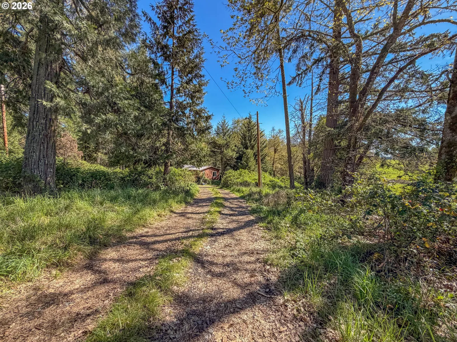 1698 Doerner Rd, Roseburg, OR 97471 — photograph 10