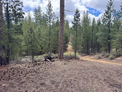 Land at Schoonover 8 2900, Crescent, OR 97733