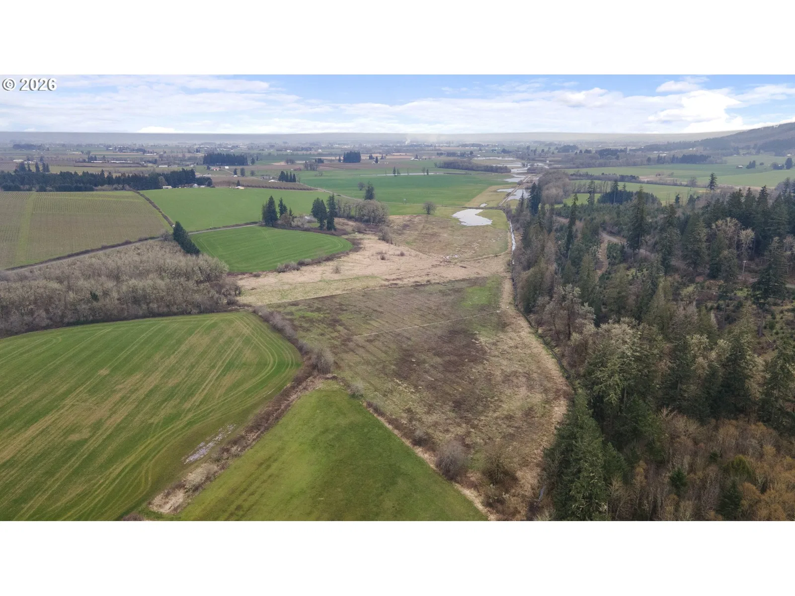 Clapshaw Hill Rd, Forest Grove, OR 97116 — photograph 10