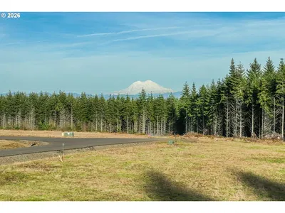 Land at Silverwood Dr D2, Castle Rock, Wa 98611 (Pending)