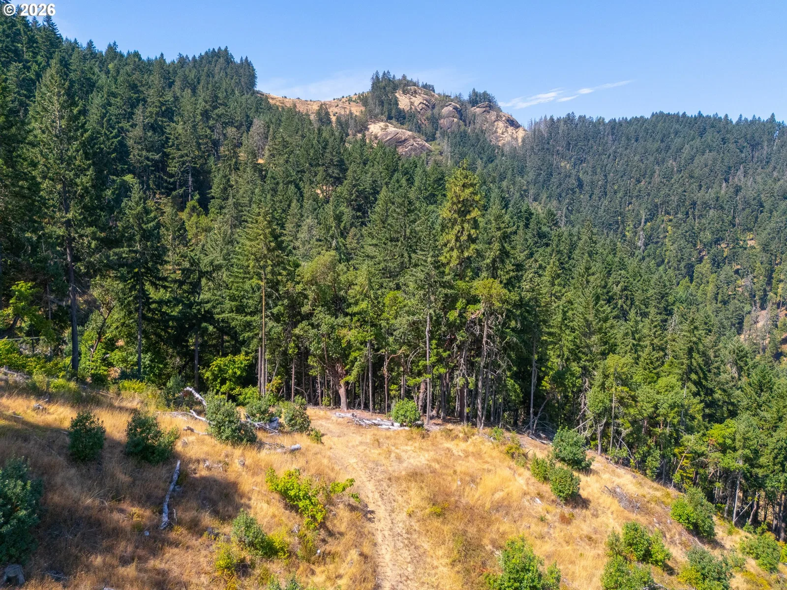 Strickland Canyon Rd Tl100, Roseburg, OR 97471 — photograph 20