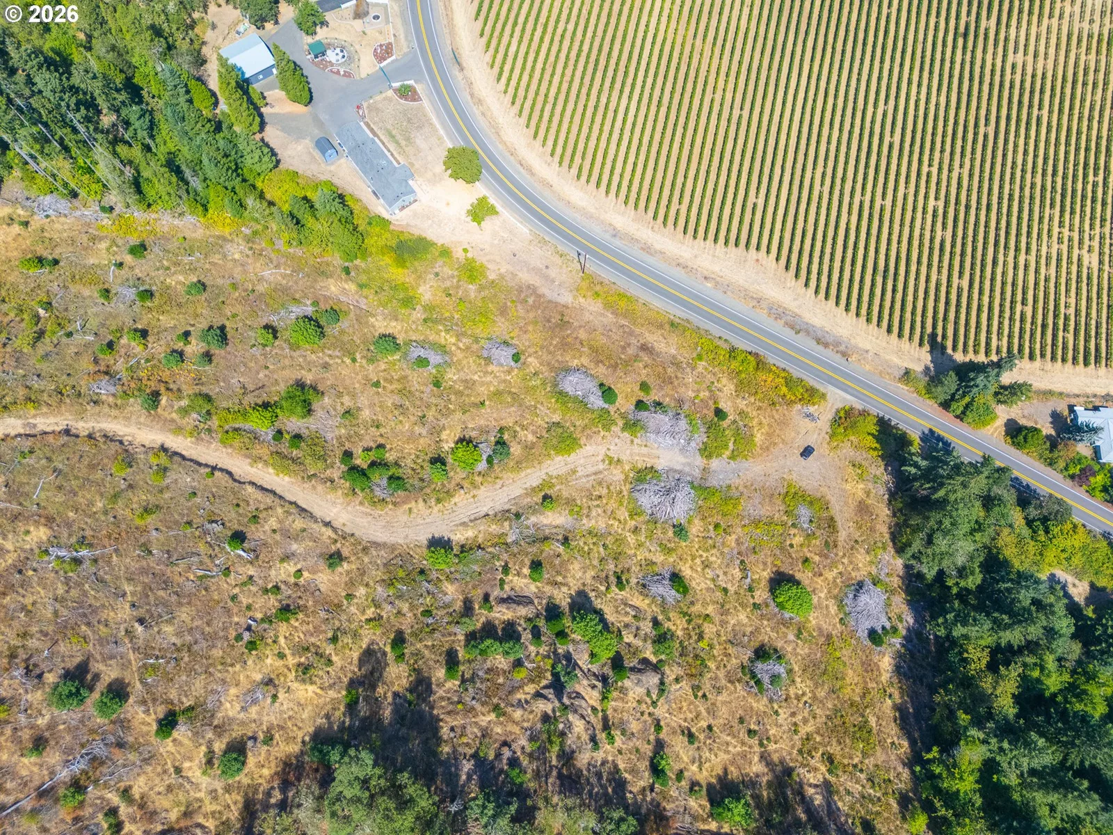 Strickland Canyon Rd Tl100, Roseburg, OR 97471 — photograph 22