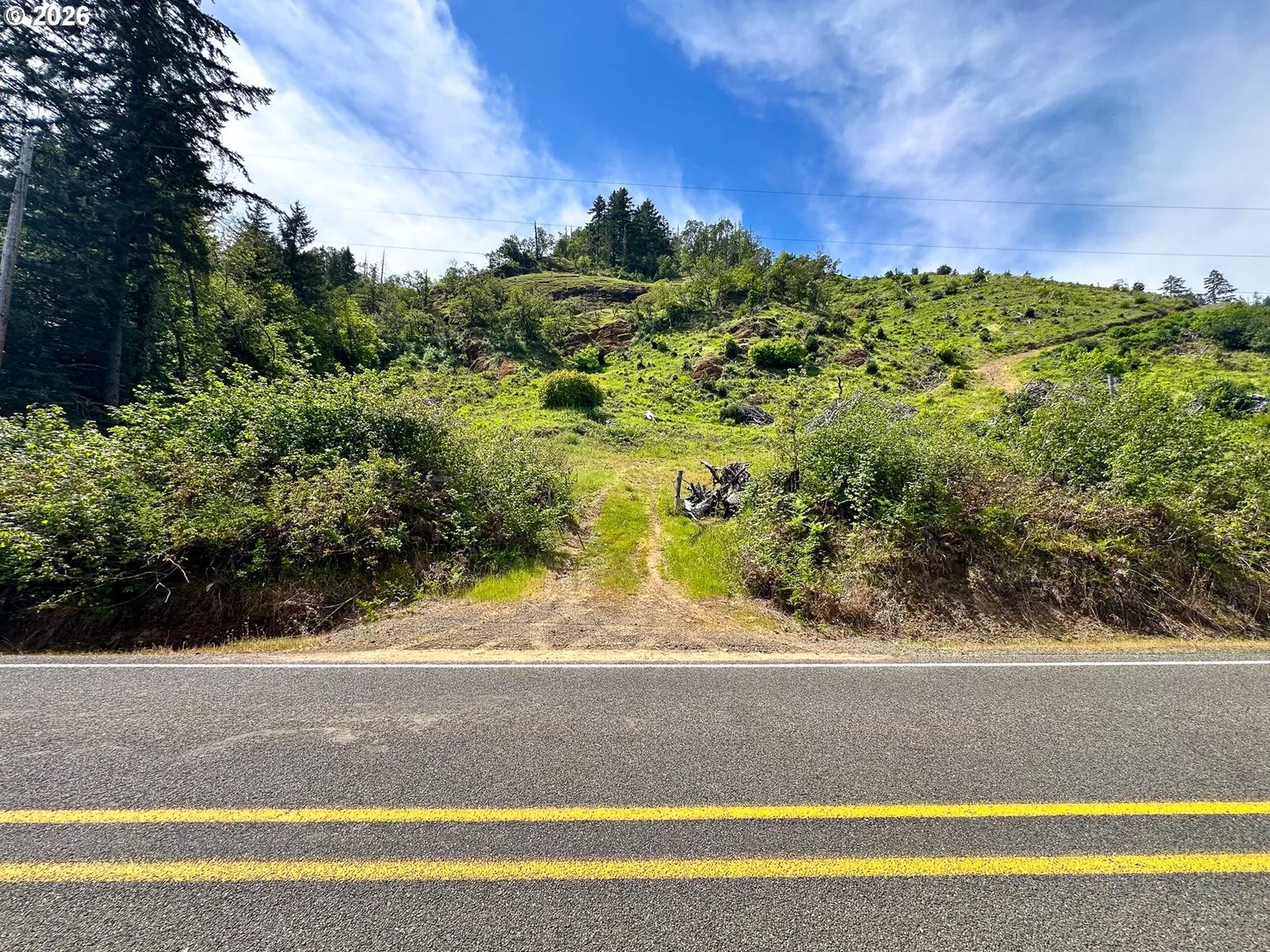 Strickland Canyon Rd Tl100, Roseburg, OR 97471 — photograph 24