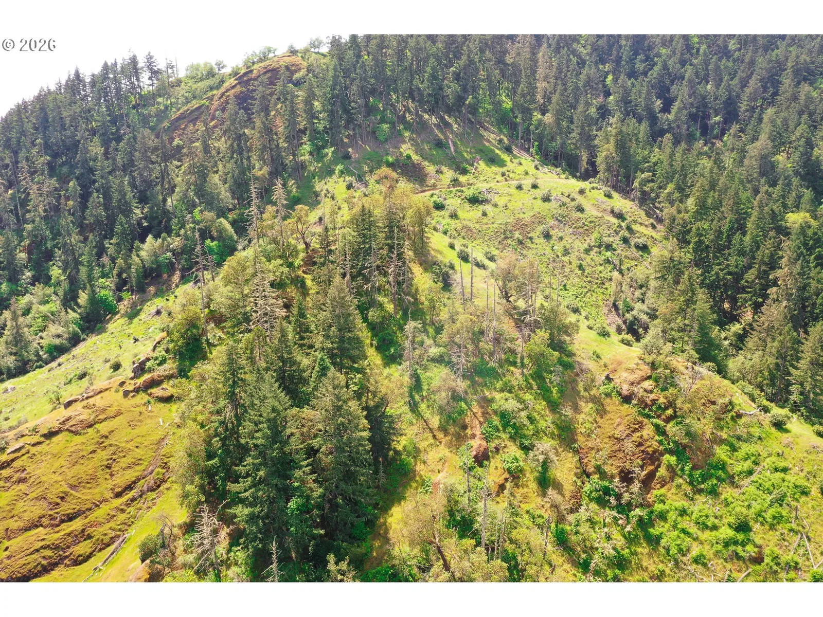 Strickland Canyon Rd Tl100, Roseburg, OR 97471 — photograph 33