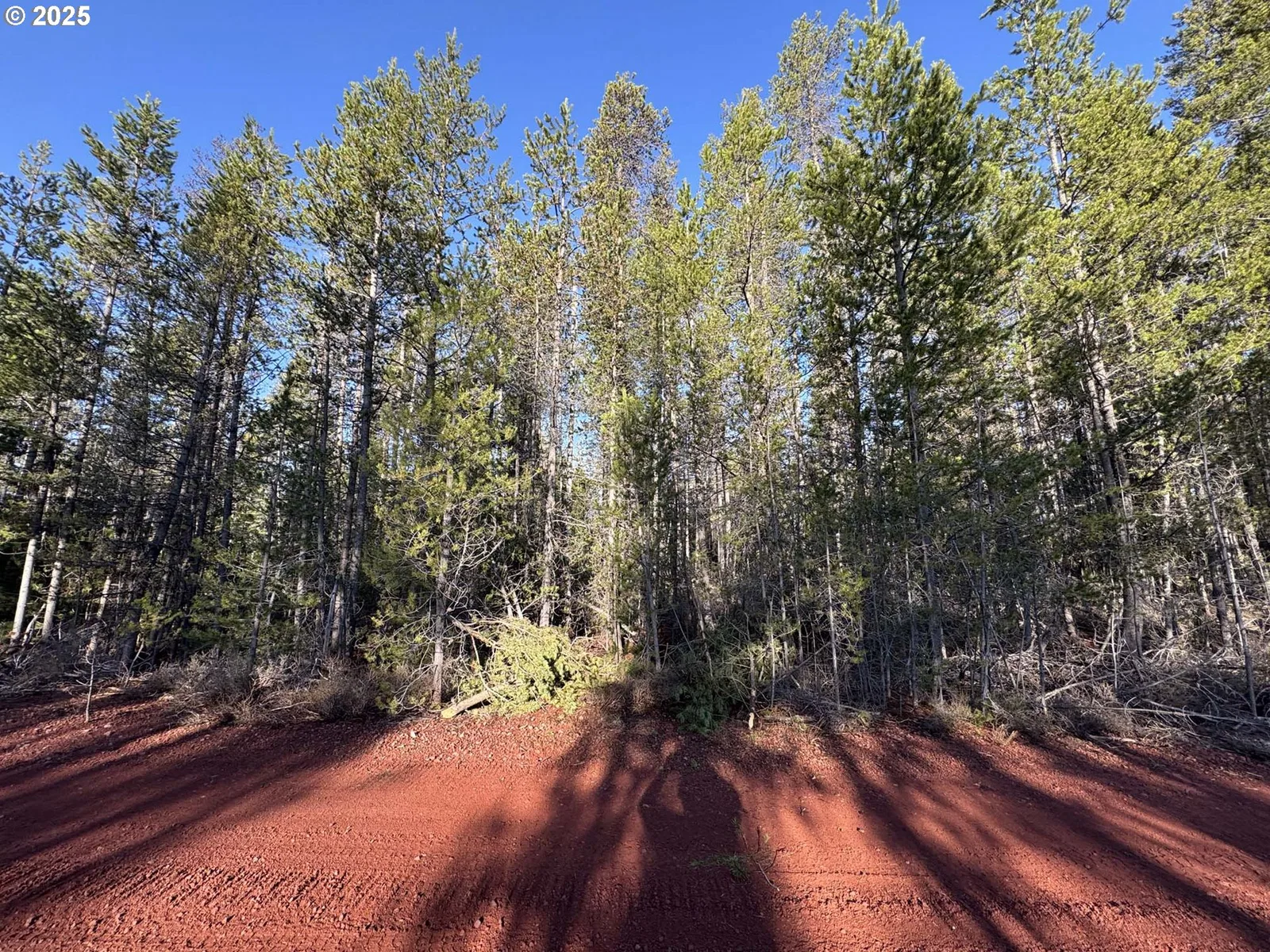Artesian Dr Tl 8, Chiloquin, OR 97624 — photograph 10