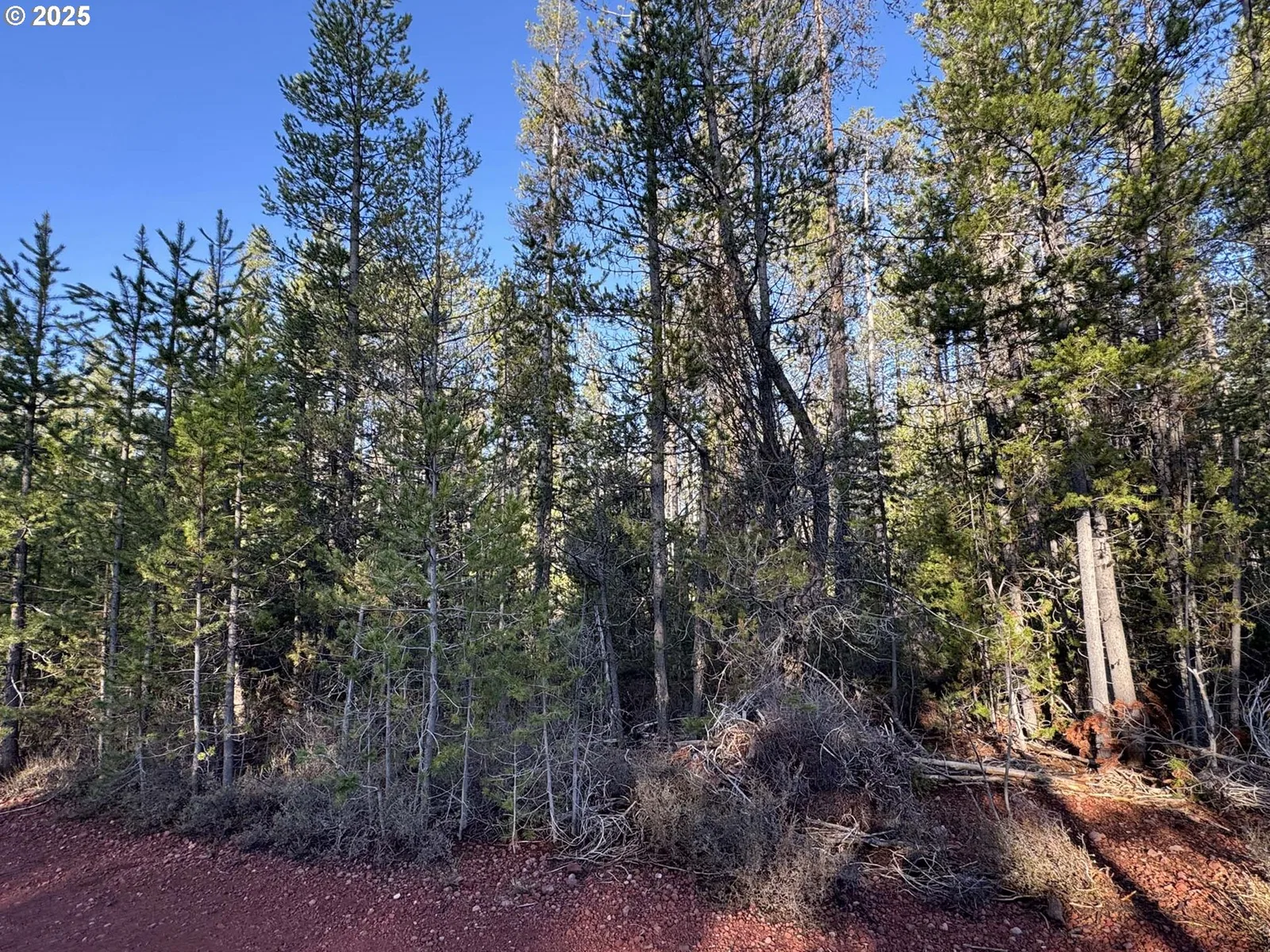 Artesian Dr Tl 8, Chiloquin, OR 97624 — photograph 15