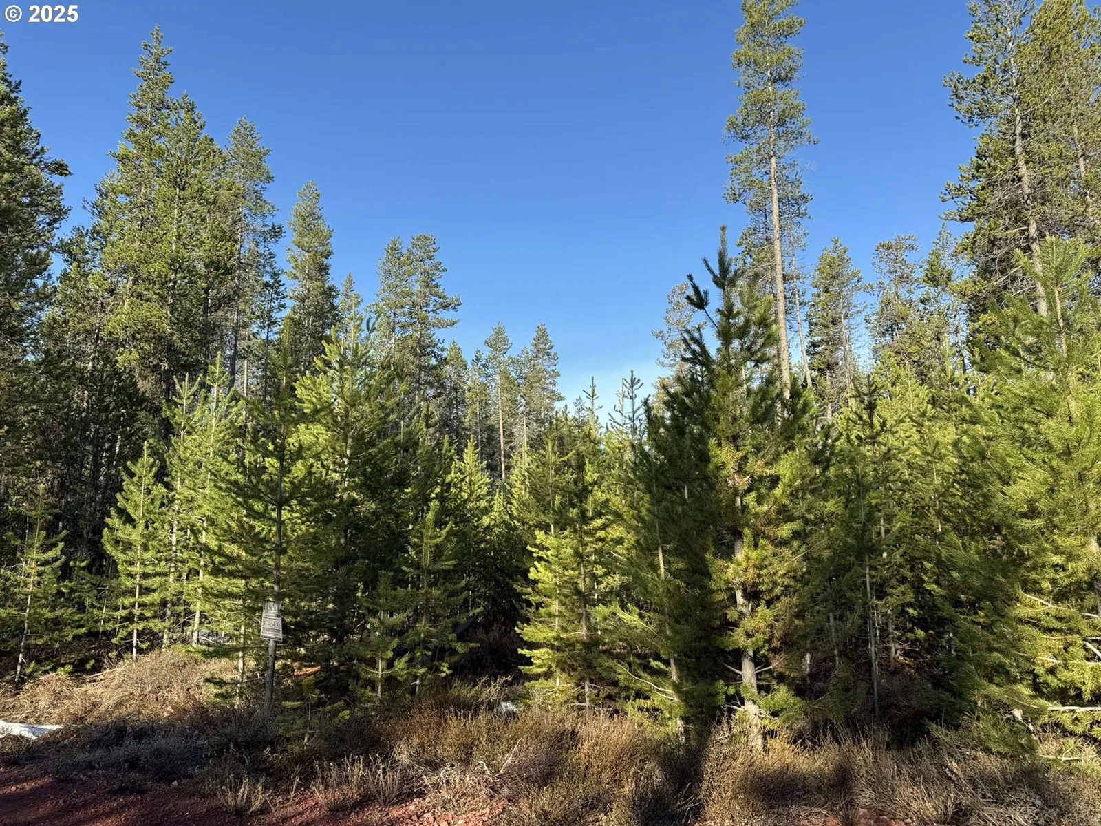 Artesian Dr Tl 8, Chiloquin, OR 97624 — photograph 21