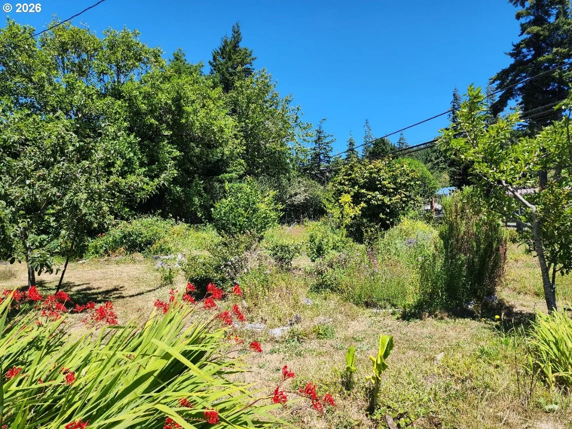 2537 Port Orford Loop, Port Orford, OR 97465 — photograph 25