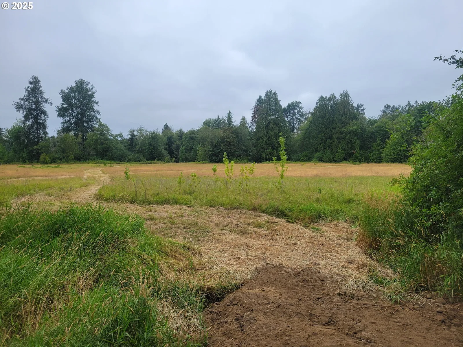 0 Evans Rd, Toledo, Wa 98591 — photograph 6