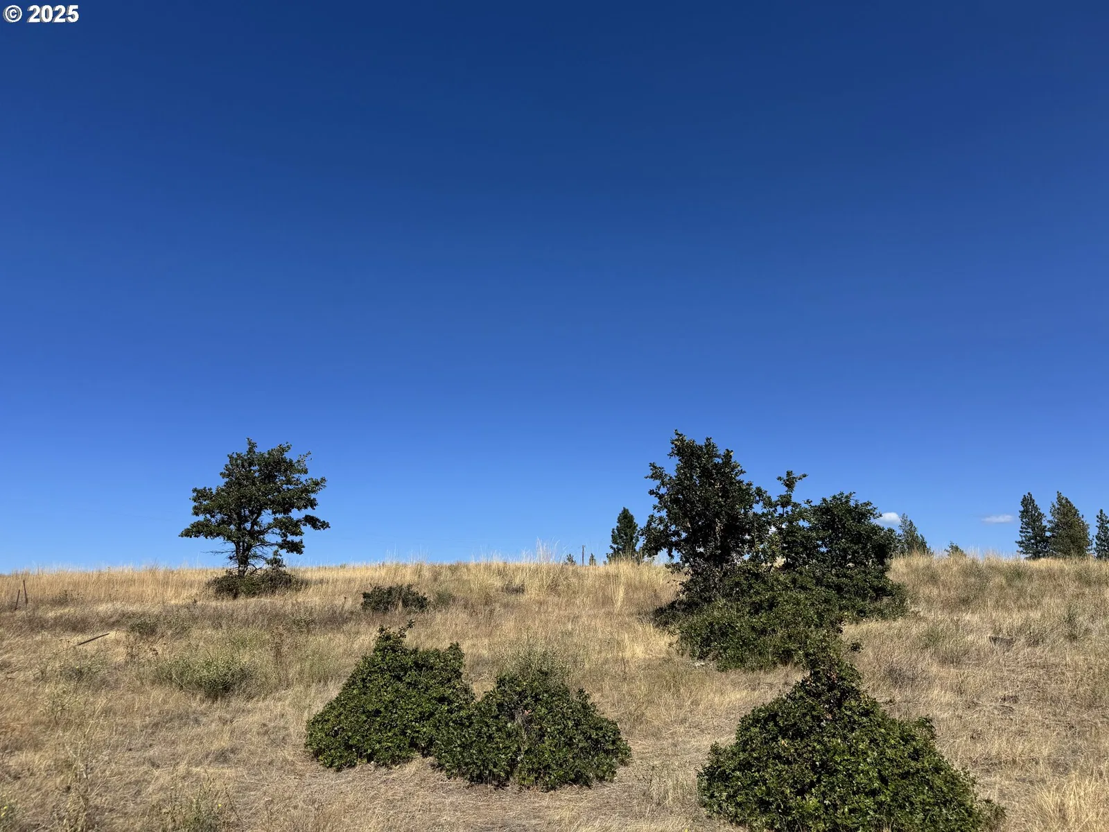 Nka Tegan Rd, Goldendale, Wa 98620 — photograph 10