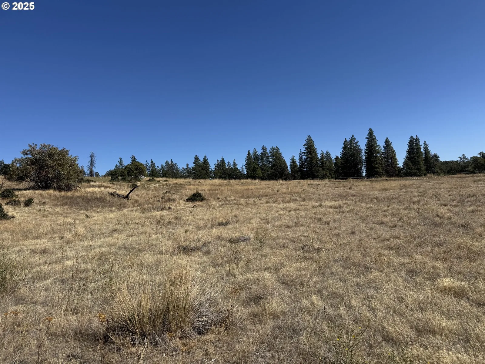 Nka Tegan Rd, Goldendale, Wa 98620 — photograph 7