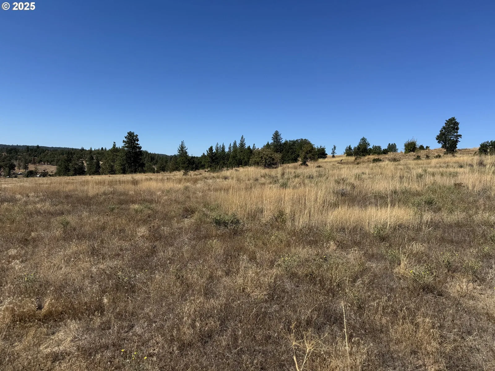 Nka Tegan Rd, Goldendale, Wa 98620 — photograph 12