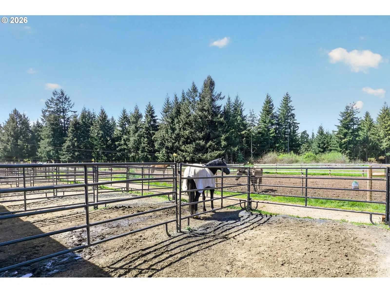 17623 S Windy City Rd, Mulino, OR 97042 — photograph 26