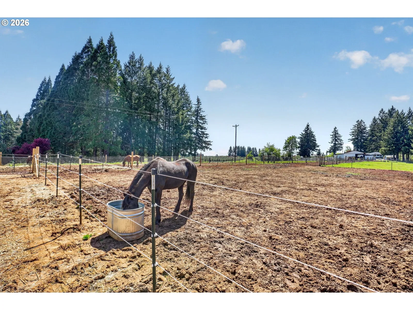 17623 S Windy City Rd, Mulino, OR 97042 — photograph 35