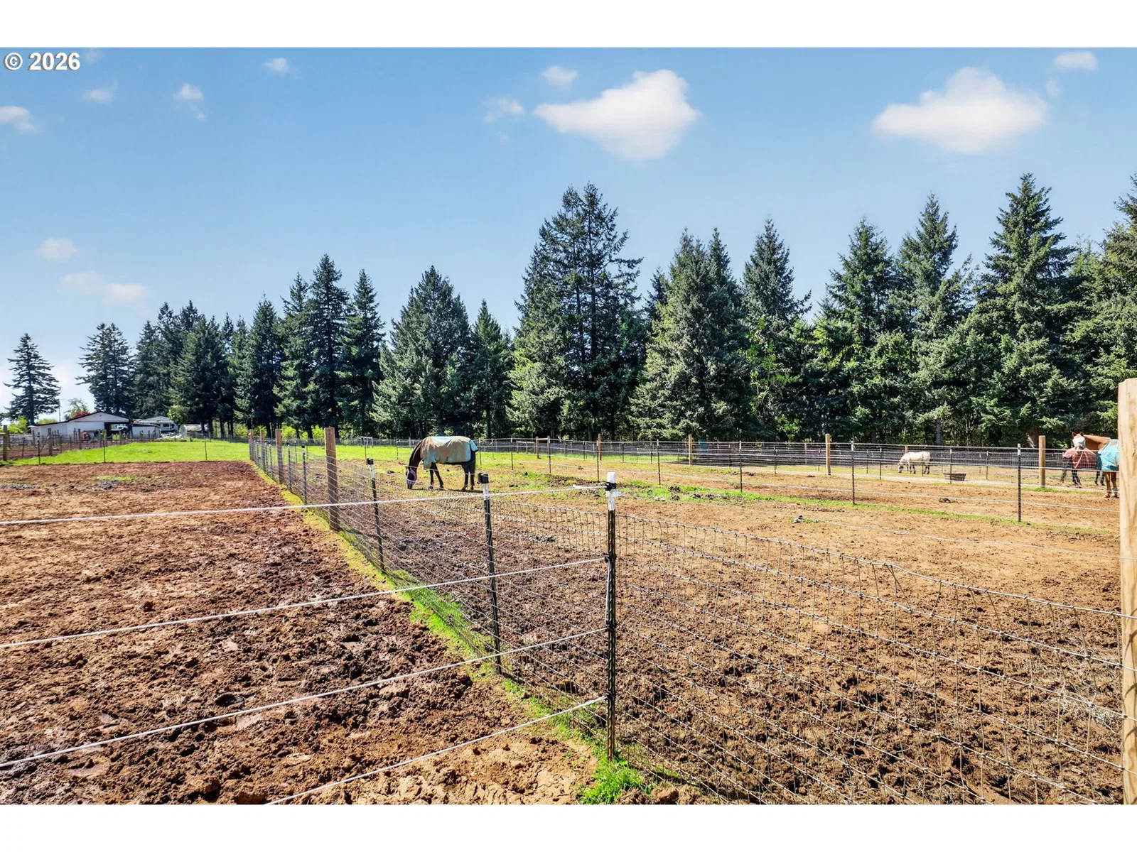 17623 S Windy City Rd, Mulino, OR 97042 — photograph 36
