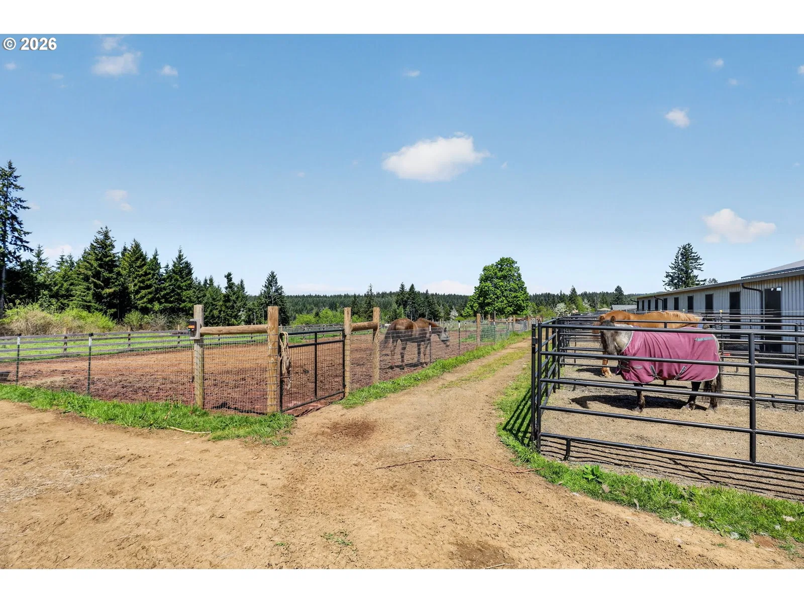 17623 S Windy City Rd, Mulino, OR 97042 — photograph 37