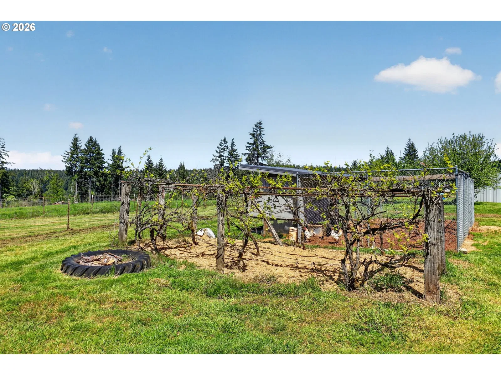 17623 S Windy City Rd, Mulino, OR 97042 — photograph 38